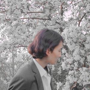 Sign of the Times (Slowed Version)