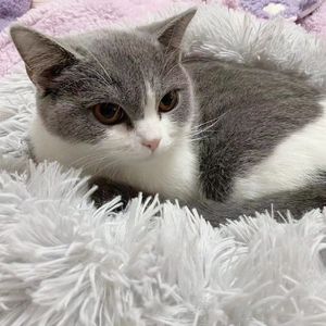 メロウな夜に踊りましょう