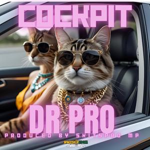 COCKPIT (feat. DR PRO)