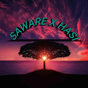 SAWARE X HASI