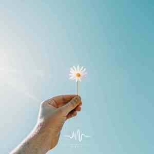 秋季的雨夜 (催眠曲)