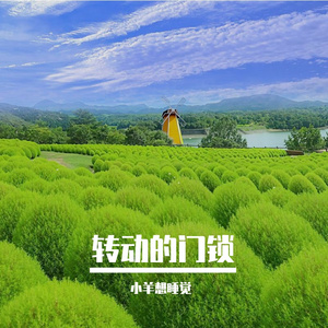 回声在结冰