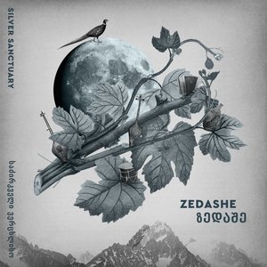 Chkim Chonguri (My Chonguri, Samegrelo)