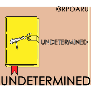 UNDETERMINED 8-bit