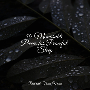 Trickling Rain
