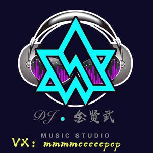 群星-抖音热播金贤武越南House弹串烧（群星 remix）