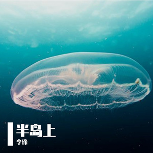 半岛上Prod by CAND1E WAV