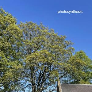 Photosynthesis