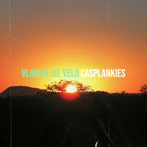 Vlam in Die Veld