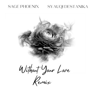 Without Your Love - Remix