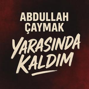 Yarasında kaldım