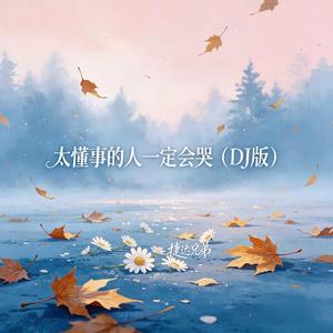 太懂事的人一定会哭(DJ版)