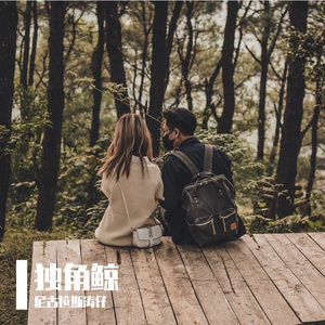 立体声环绕_De_Yang_Gatal_Gatal(抖音版)-尼古拉斯涛仔