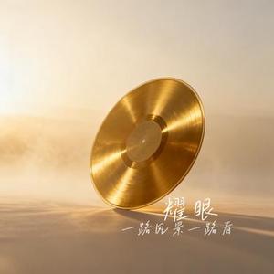 耀眼 (Cover 刘宇宁)