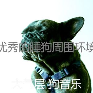 一尘不染可爱的狗印象数