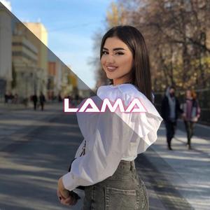 lama (feat. Remix Akm) (Instrumental)