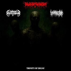 Thrombosed Hemorrhoids