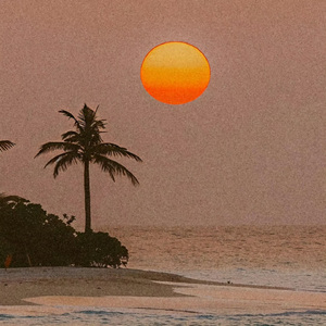 Fading Light (渐暗的光)