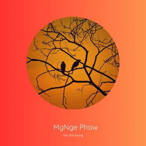 MgNge Phaw