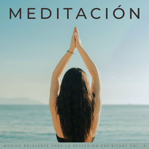 Música Para Mentes Concentradas