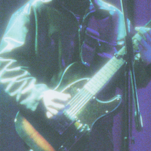 жовтий богдан