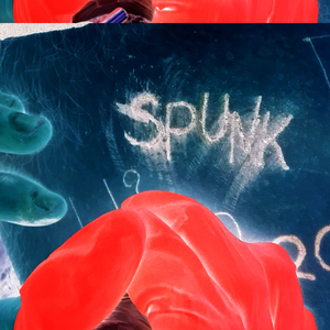 Spunk (feat. Gorm)