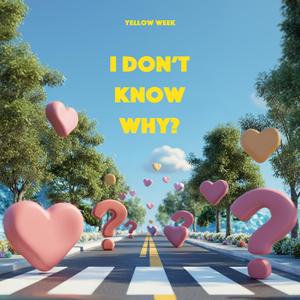 I Don't Know Why (Inst.)