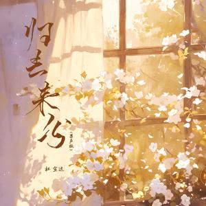 归去来兮（DJ铁柱版）