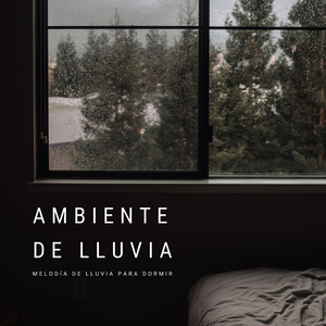 Caminata Por El Bosque