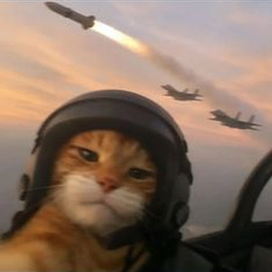 In My Feelings (sped up)