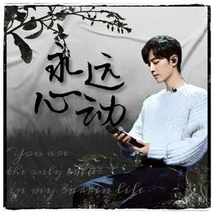 【肖战应援曲】永远心动