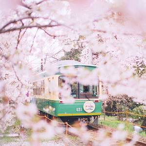 このまま電車に乗って（Cover 藤田麻衣子）