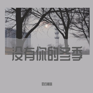 没有你的冬季