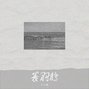 蓑羽鹤 伴奏