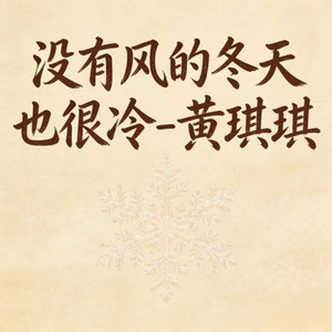 没有风的冬天也很冷 (DJ版)