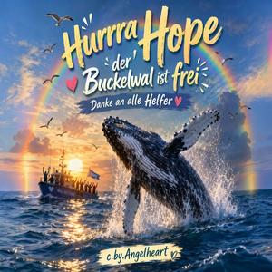Hurra Hope der Buckelwal ist frei Danke an alle Helfer (Radio Edit)