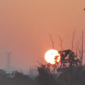 起风了-起风了纯音乐(launchpad版)1（A-晚安晚安 remix）