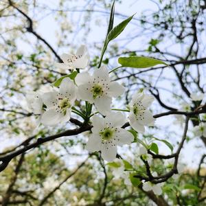 她说每个人的心中都有一首歌