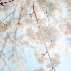 힘들 때 들어요