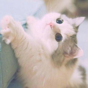 山川皆无恙（经典纯音乐）