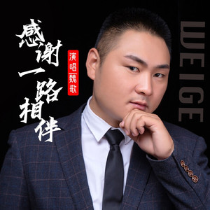 感谢一路相伴 (DJ版)