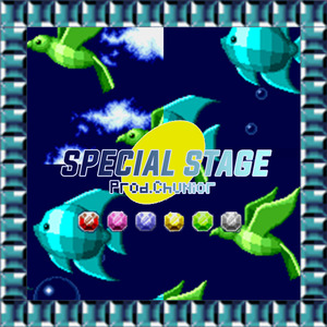 Special Stage