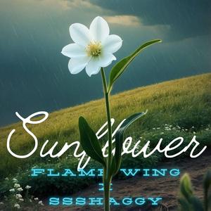 Sunflower - Instrumental