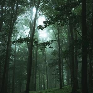 那远山呼唤我（重生之我在异乡为异客）