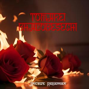 Tomakei bhalobesechi