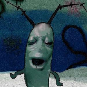BOOFING PLANKTON