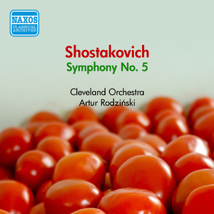 Symphony No. 5 in D Minor, Op. 47:IV. Allegro non troppo