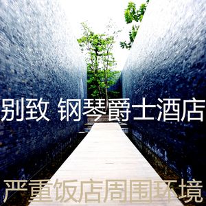 一尘不染饭店印象数