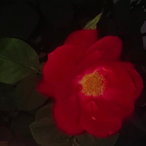 时间如风