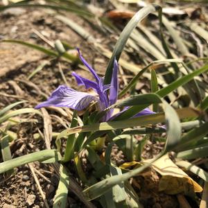 《生长2016》词曲唱 赵鑫